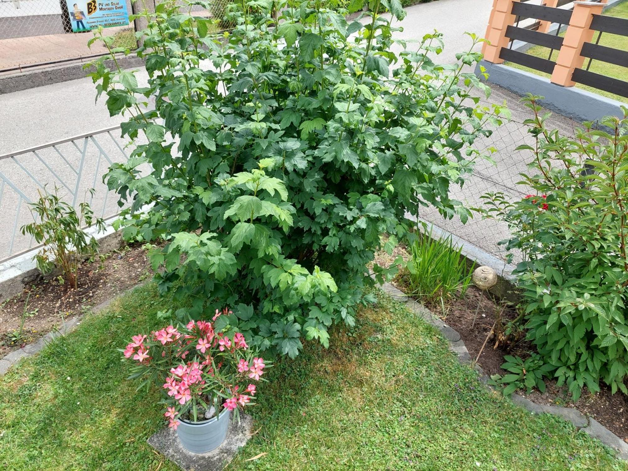 Wohnung Mit Charme In Pinsdorf ภายนอก รูปภาพ