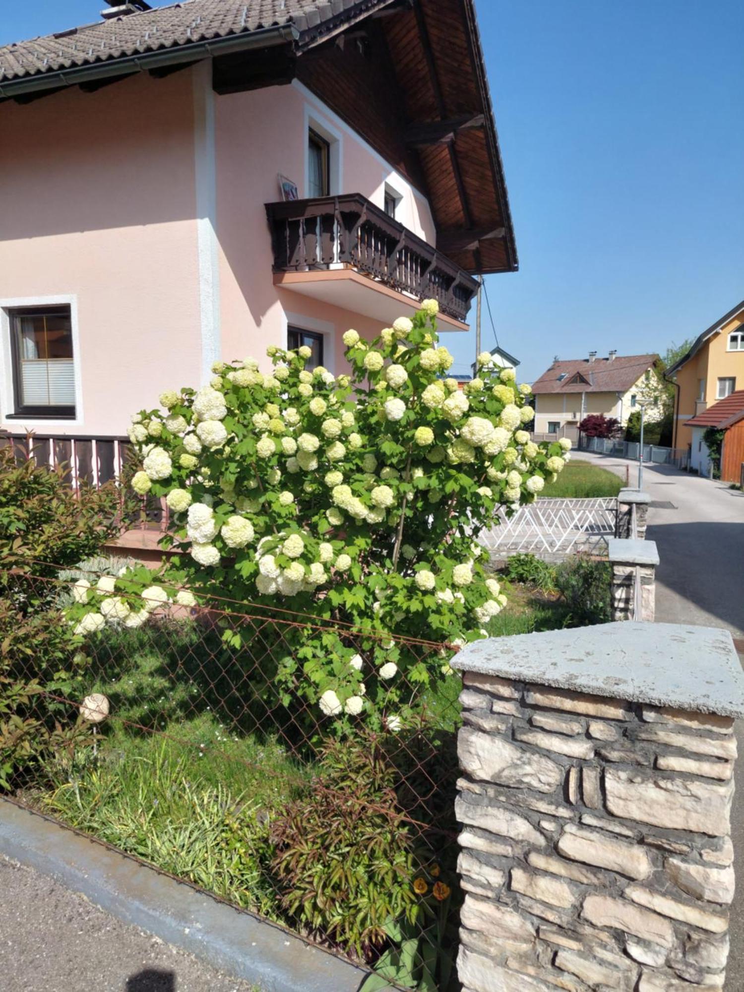 Wohnung Mit Charme In Pinsdorf ภายนอก รูปภาพ